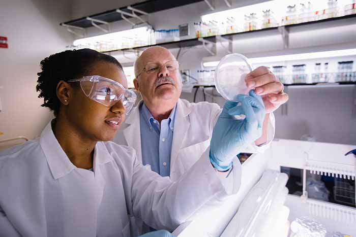 Two people in lab coats examining a petri dish